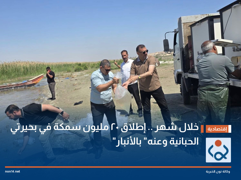 خلال شهر .. إطلاق 20 مليون سمكة في بحيرتي "الحبانية وعنه" بالأنبار