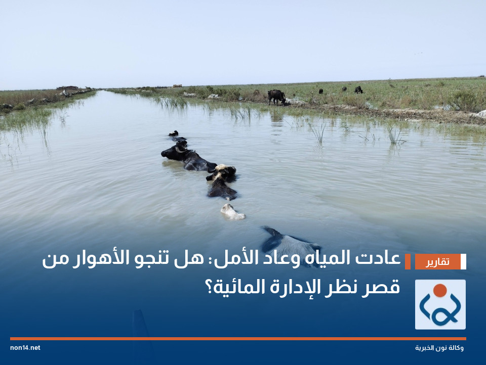 عادت المياه وعاد الأمل: هل تنجو الأهوار من "قصر نظر" الإدارة المائية؟