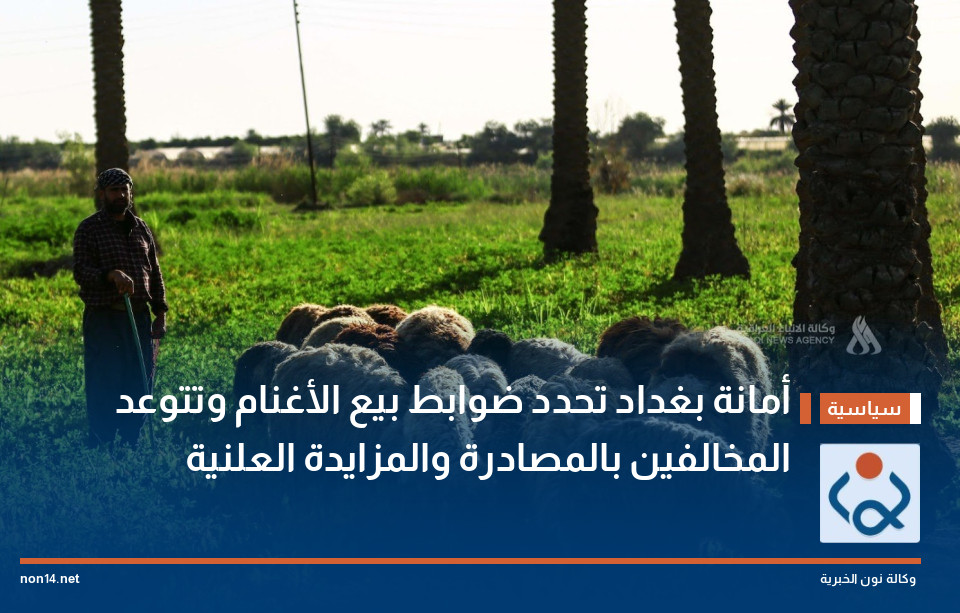 أمانة بغداد تحدد ضوابط بيع الأغنام وتتوعد المخالفين بالمصادرة والمزايدة العلنية