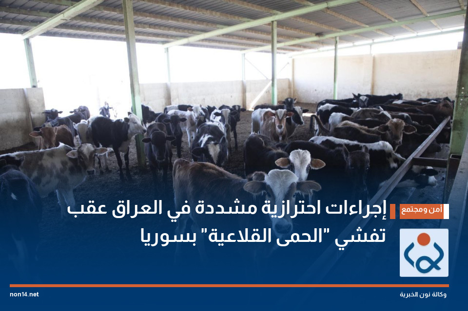 إجراءات احترازية مشددة في العراق عقب تفشي "الحمى القلاعية" بسوريا