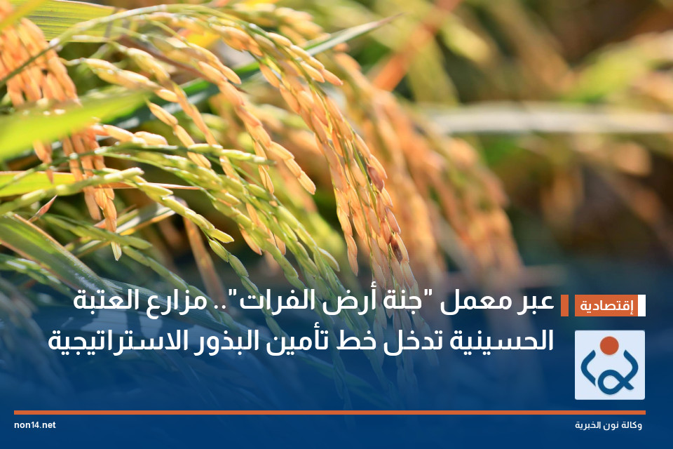 عبر معمل "جنة أرض الفرات".. مزارع العتبة الحسينية تدخل خط تأمين البذور الاستراتيجية