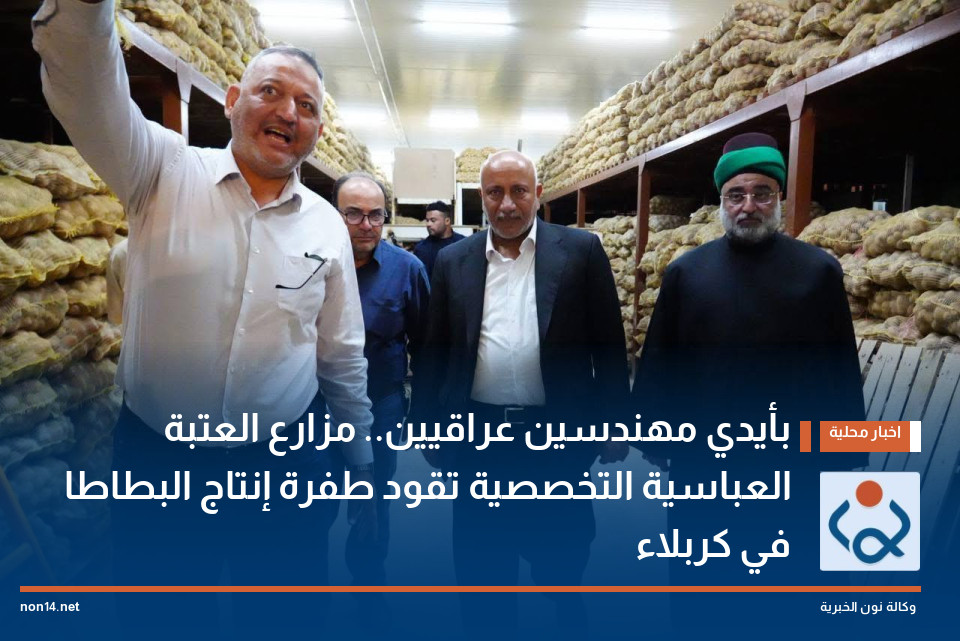بأيدي مهندسين عراقيين.. مزارع العتبة العباسية التخصصية تقود طفرة إنتاج البطاطا في كربلاء
