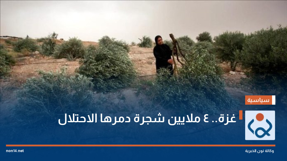 غزة.. 4 ملايين شجرة دمرها الاحتلال