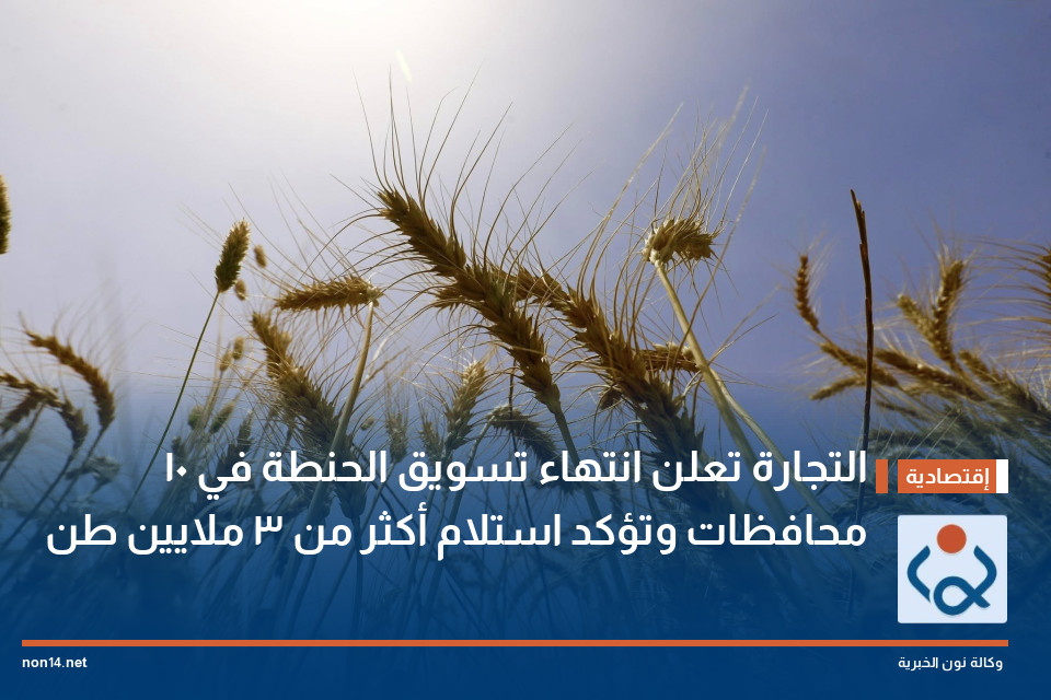 التجارة تعلن انتهاء تسويق الحنطة في 10 محافظات وتؤكد استلام أكثر من 3 ملايين طن