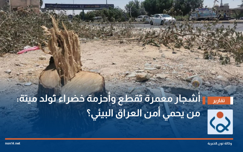 أشجار معمرة تُقطع وأحزمة خضراء تُولد ميتة: من يحمي أمن العراق البيئي؟