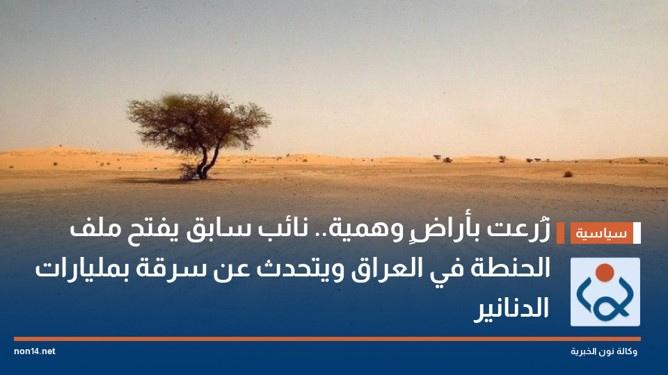 زُرعت بأراضٍ وهمية.. نائب سابق يفتح ملف الحنطة في العراق ويتحدث عن سرقة بمليارات الدنانير
