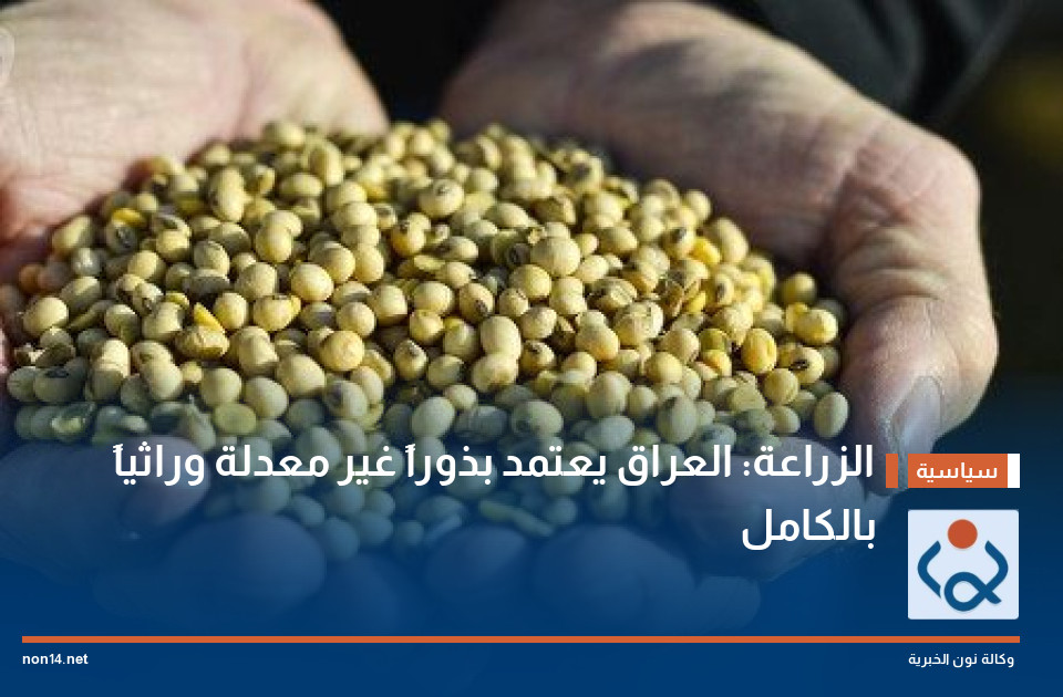 الزراعة: العراق يعتمد بذوراً غير معدلة وراثياً بالكامل