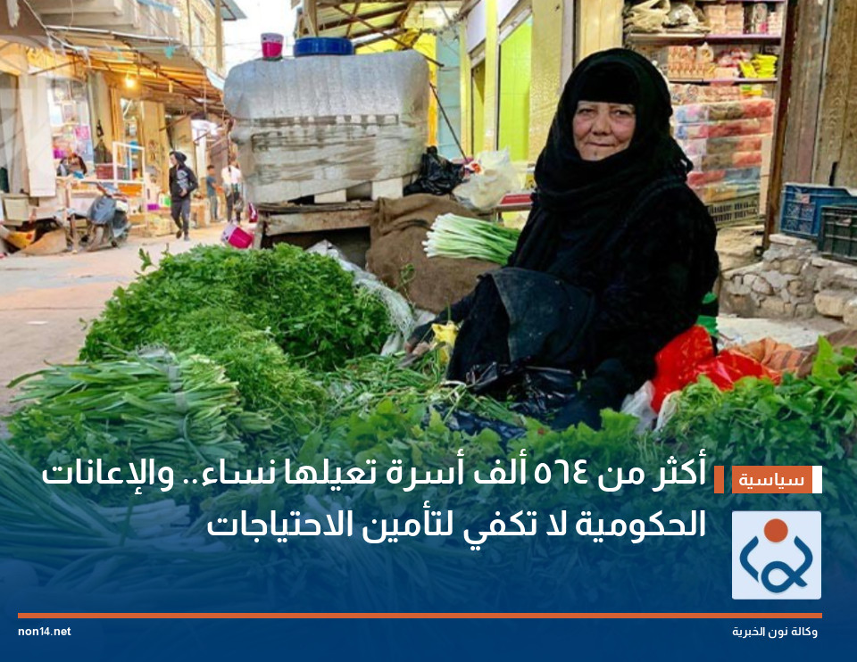 أكثر من 564 ألف أسرة تعيلها نساء.. والإعانات الحكومية لا تكفي لتأمين الاحتياجات
