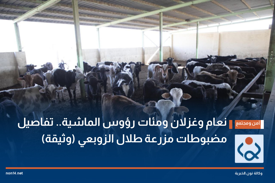 نعام وغزلان ومئات رؤوس الماشية.. تفاصيل مضبوطات مزرعة طلال الزوبعي (وثيقة)