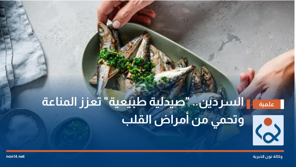 السردين.. "صيدلية طبيعية" تعزز المناعة وتحمي من أمراض القلب