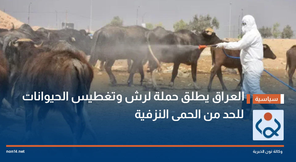 العراق يطلق حملة لرش وتغطيس الحيوانات للحد من الحمى النزفية