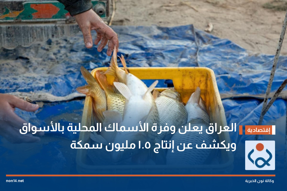 العراق يعلن وفرة الأسماك المحلية بالأسواق ويكشف عن إنتاج 1.5 مليون سمكة