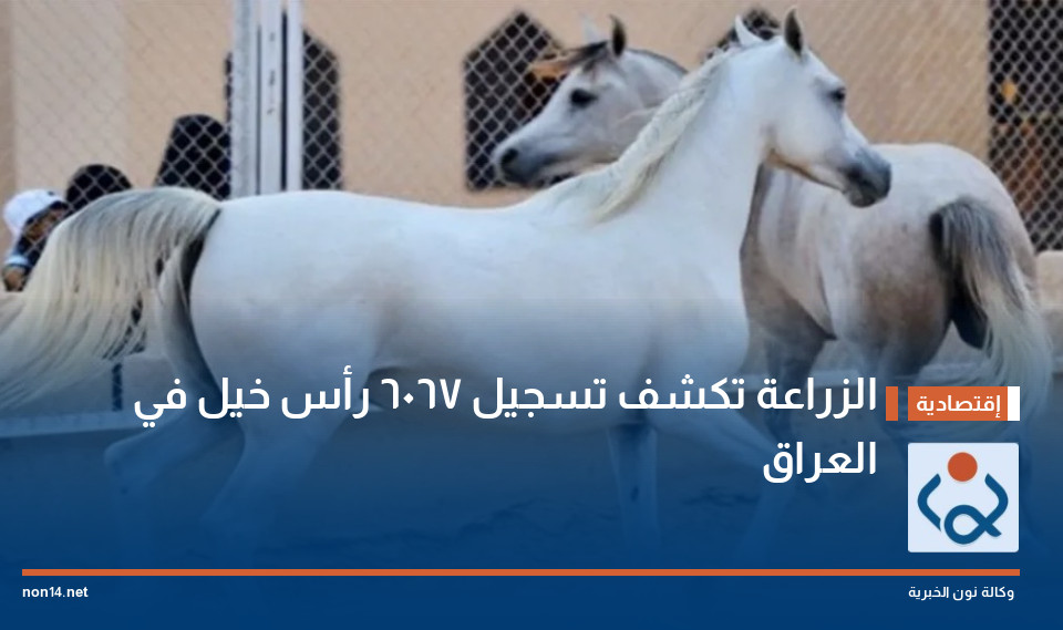 الزراعة تكشف تسجيل 6067 رأس خيل في العراق