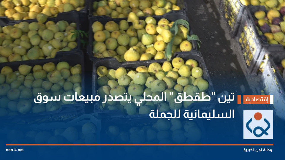 تين "طقطق" المحلي يتصدر مبيعات سوق السليمانية للجملة