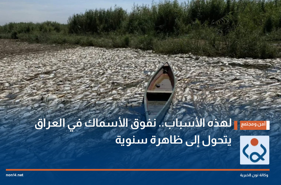 لهذه الأسباب.. نفوق الأسماك في العراق يتحول إلى ظاهرة سنوية