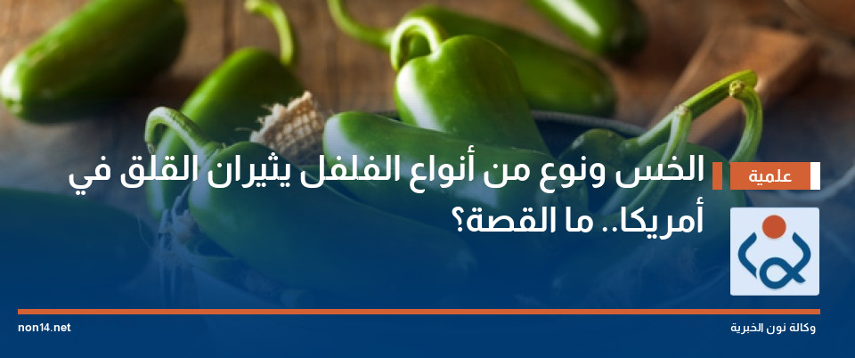 الخس ونوع من أنواع الفلفل يثيران القلق في أمريكا.. ما القصة؟