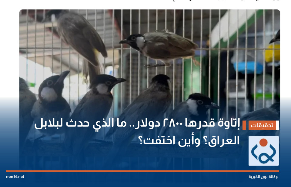 إتاوة قدرها 2800 دولار.. ما الذي حدث لبلابل العراق؟ وأين اختفت؟
