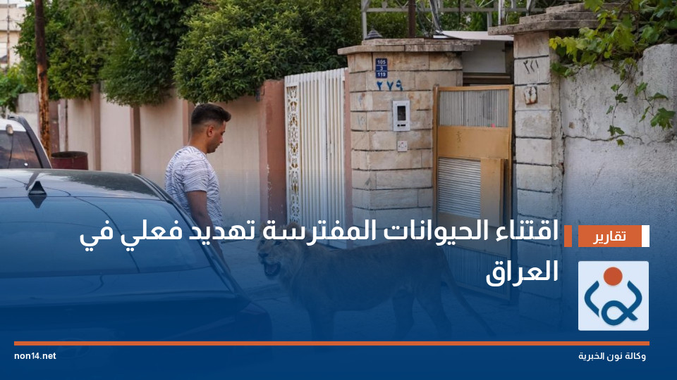 اقتناء الحيوانات المفترسة تهديد فعلي في العراق