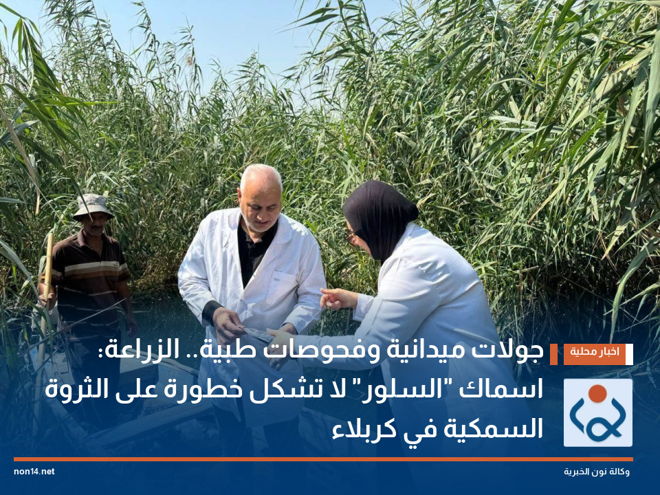 جولات ميدانية وفحوصات طبية.. الزراعة: اسماك "السلور" لا تشكل خطورة على الثروة السمكية في كربلاء