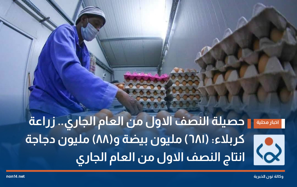 حصيلة النصف الاول من العام الجاري.. زراعة كربلاء: (681) مليون بيضة و(88) مليون دجاجة انتاج النصف الاول من العام الجاري