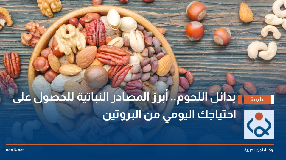 بدائل اللحوم.. أبرز المصادر النباتية للحصول على احتياجك اليومي من البروتين