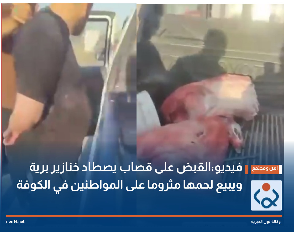 فيديو:القبض على قصاب يصطاد خنازير برية ويبيع لحمها مثروما على المواطنين في الكوفة