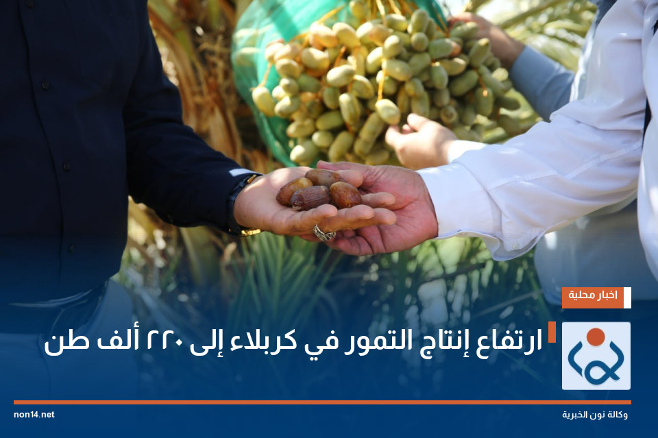 ارتفاع إنتاج التمور في كربلاء إلى 220 ألف طن