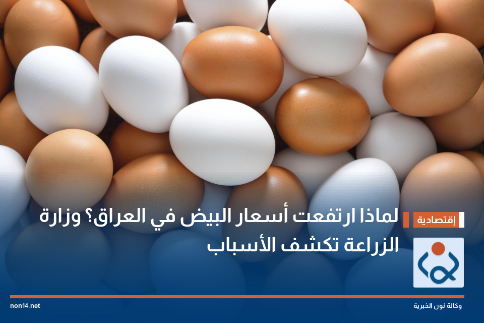 لماذا ارتفعت أسعار البيض في العراق؟ وزارة الزراعة تكشف الأسباب