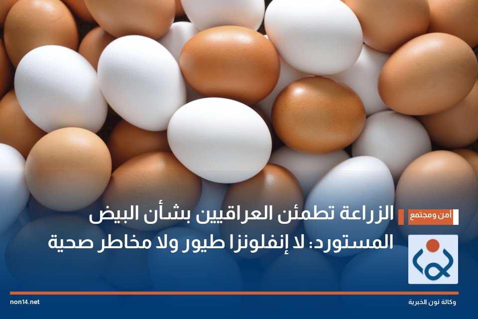 الزراعة تطمئن العراقيين بشأن البيض المستورد: لا إنفلونزا طيور ولا مخاطر صحية