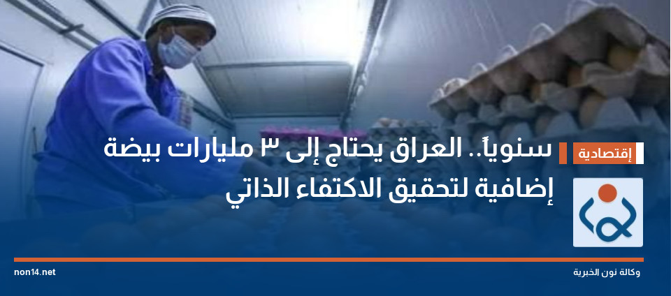 سنوياً.. العراق يحتاج إلى 3 مليارات بيضة إضافية لتحقيق الاكتفاء الذاتي