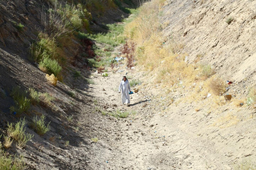 أكثر من مليون دونم على عتبة التصحر في العراق