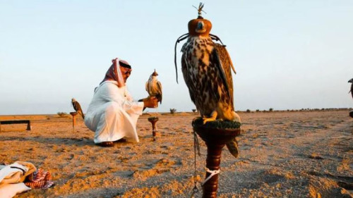 الأجور من 125- 225 ألف دولار.. ضوابط منح سمات الدخول للأراضي العراقية لموسم الصيد 2025- 2026