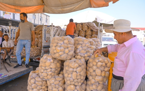 أربيل تصدّر أولى شحنات البطاطا إلى دبي هذا العام