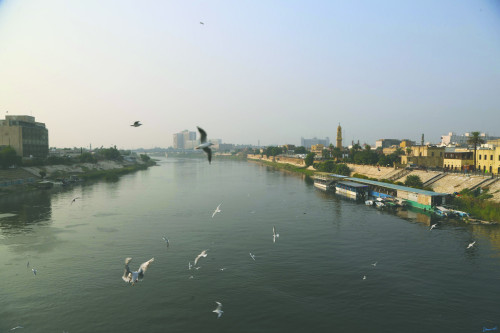 العراق :الأمطار تعزز الخزين المائي وتنعش الزراعة والمراعي