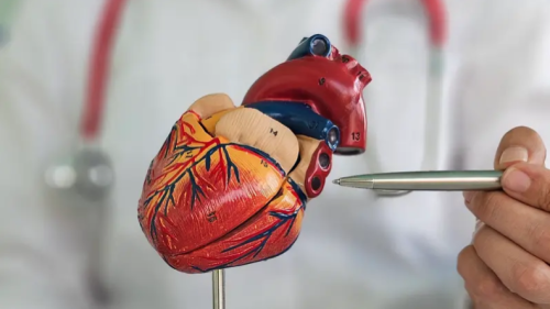 جلطات القلب والموت المفاجئ تقتحم حياة الشباب في العشرينات