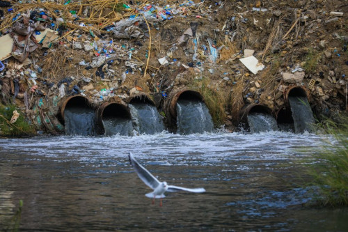 الأنهار في العراق.. مصبات مجانية للمخلفات ومياه الصرف الصحي