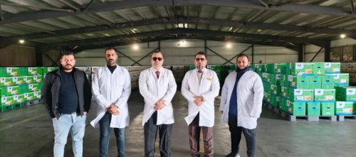 كربلاء تسوّق ملايين البيض وآلاف الدجاج اللاحم إلى المحافظات