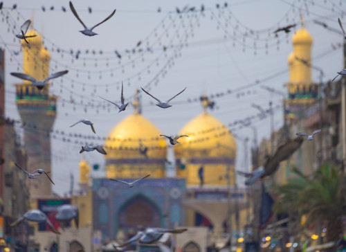 محوريَّة العقل في فكر الامام الكاظم (عليه السلام)