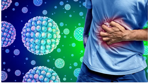 إصابة أكثر من 100 طالب في مدرسة بفيروس "نورو".. فما هي أعراضه؟