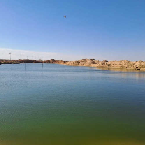 حملة ميدانية لإزالة التجاوزات عن بحيرة الرزازة والحفاظ على الخزين المائي بالمحافظة