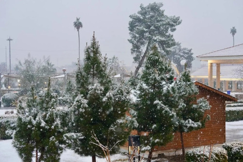 الثلوج تغطي نينوى وكركوك (صور)