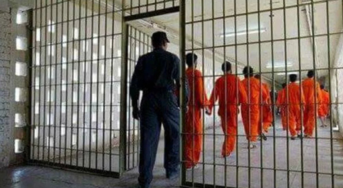 الخارجية: معظم الدواعش المنقولين من سوريا أجانب بينهم أمراء وقيادات