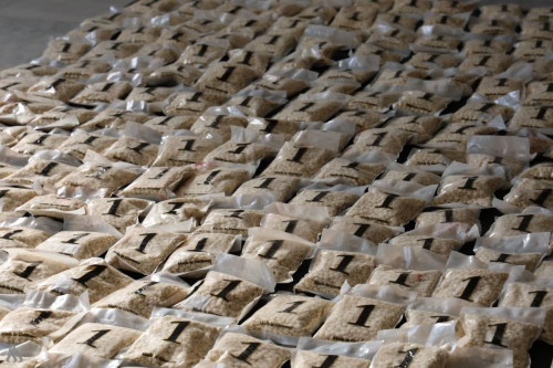 العراق يوجه ضربة جديدة لتجارة المخدرات في سوريا ويضبط 300 ألف حبة مخدرة