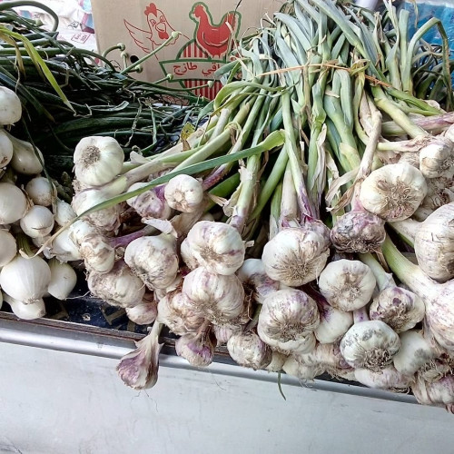 دراسة: الثوم يقلل الكوليسترول الضار ويعزز صحة القلب