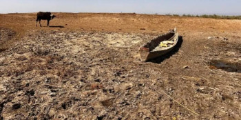 نزوح 60 ألف شخص في ذي قار بسبب الجفاف