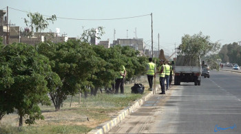 حملات تشجير ومكافحة الآفات الزراعية في النجف وكربلاء