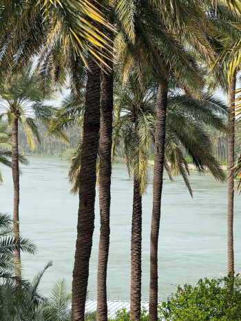 "الأمطار لا تكفي".. مستشار السوداني: العراق قد يتعرض لمشكلات مائية مستقبلية