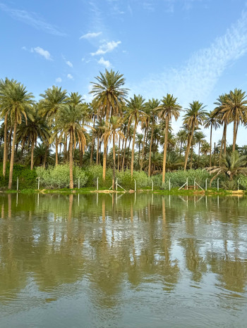 ارتفاع مفاجئ بمنسوب نهر ديالى يهدد البساتين والأراضي الزراعية (فيديو)