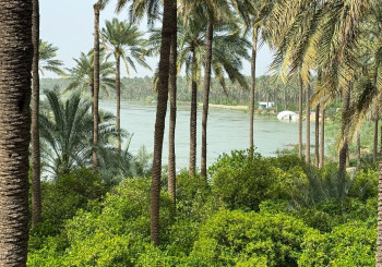 هل السبب "الحرب" وتوقف انتاج النفط؟ .. خبير جوي يفصل أسباب اعتدال الطقس في العراق