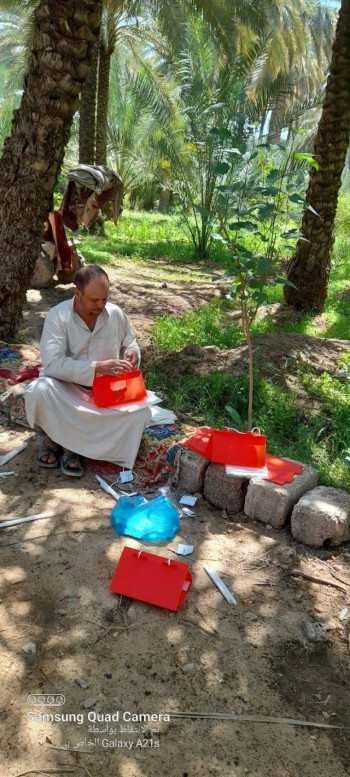 تقنيات حديثة تحمي نخيل كربلاء.. المصائد الفرمونية سلاح فاعل ضد الحميرة